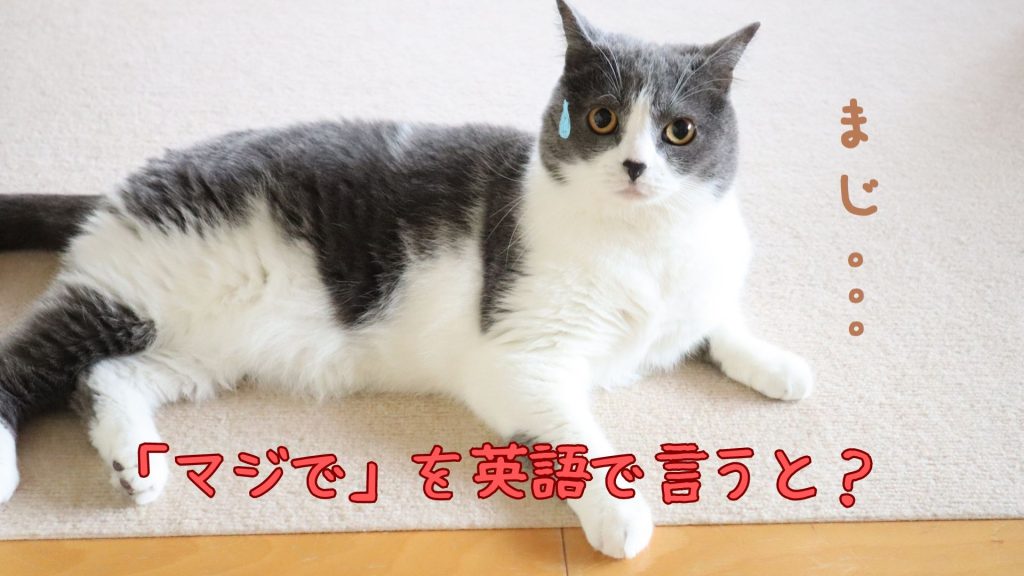 マジでを英語で