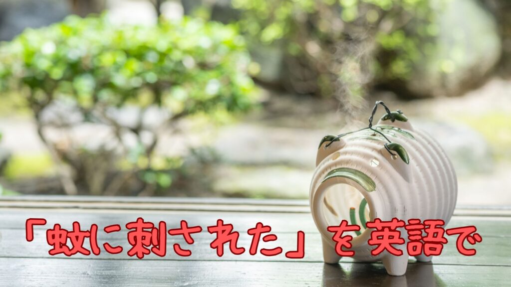 「蚊に刺された」を英語で